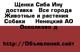 Щенки Сиба Ину доставка - Все города Животные и растения » Собаки   . Ненецкий АО,Осколково д.